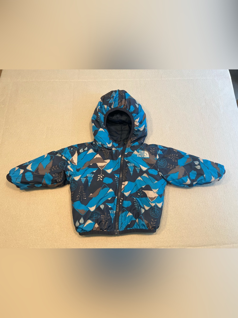 The North Face Baby Infant Reversible Blue Mountain Size 3-6 Months